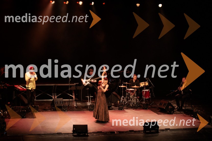 Raynald Colom: Constellation, koncert v Cankarjevem domu