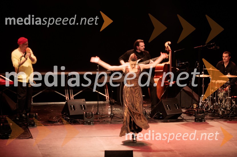 Raynald Colom: Constellation, koncert v Cankarjevem domu