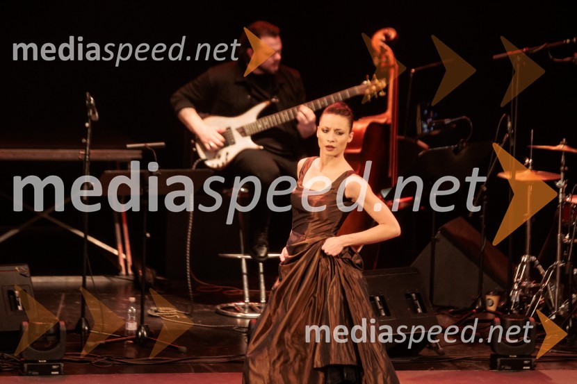 Raynald Colom: Constellation, koncert v Cankarjevem domu