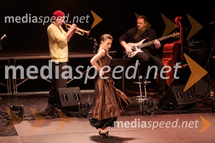 Raynald Colom: Constellation, koncert v Cankarjevem domu