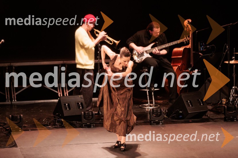 Raynald Colom: Constellation, koncert v Cankarjevem domu