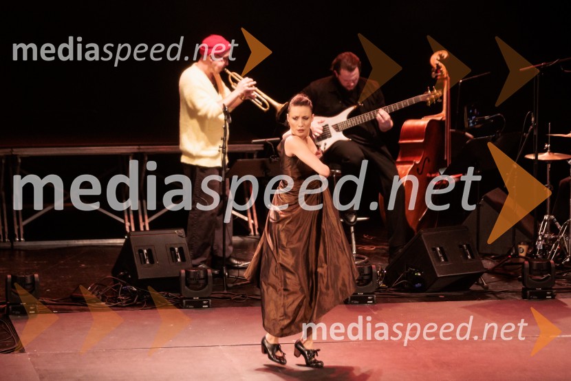 Raynald Colom: Constellation, koncert v Cankarjevem domu