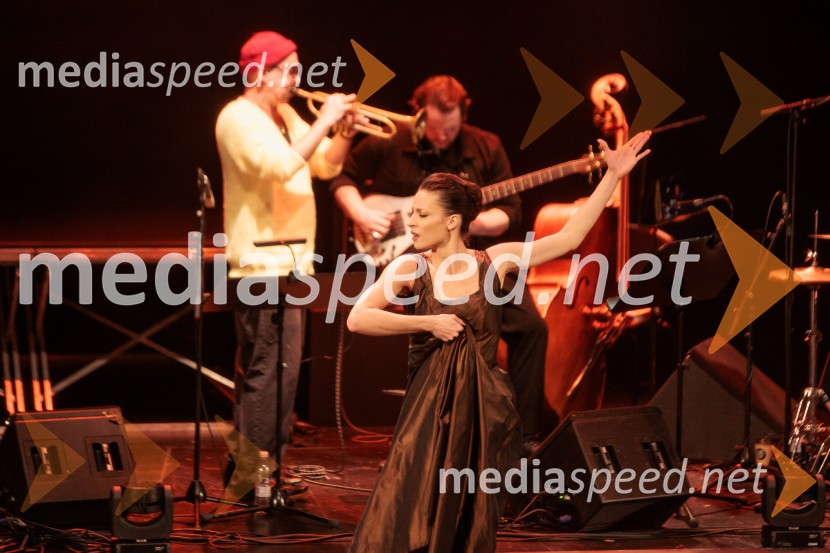 Raynald Colom: Constellation, koncert v Cankarjevem domu