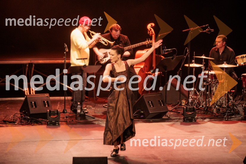 Raynald Colom: Constellation, koncert v Cankarjevem domu