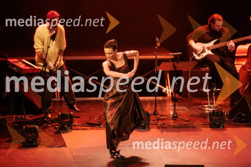 Raynald Colom: Constellation, koncert v Cankarjevem domu