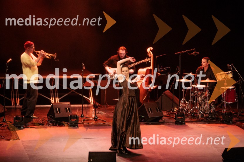 Raynald Colom: Constellation, koncert v Cankarjevem domu