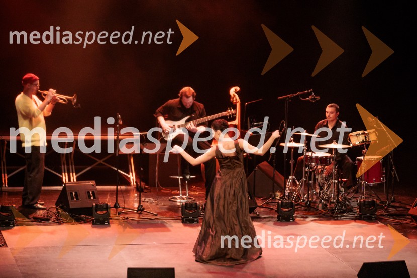 Raynald Colom: Constellation, koncert v Cankarjevem domu