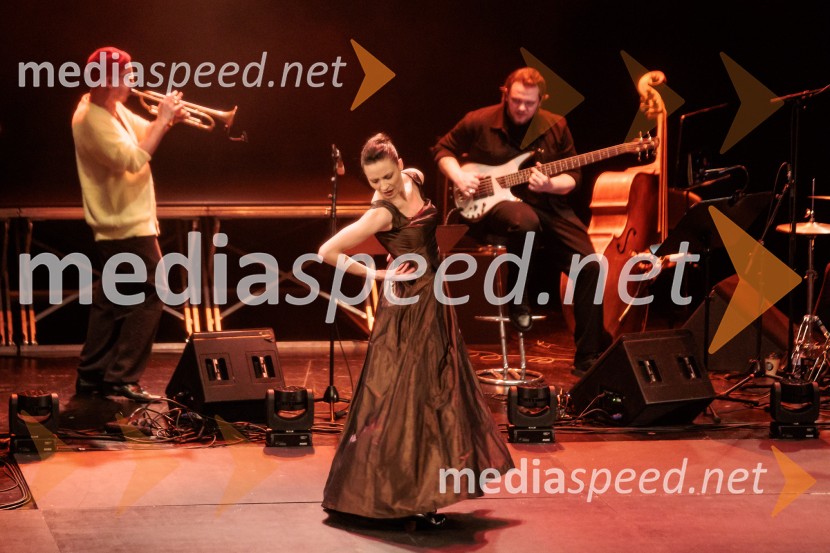 Raynald Colom: Constellation, koncert v Cankarjevem domu