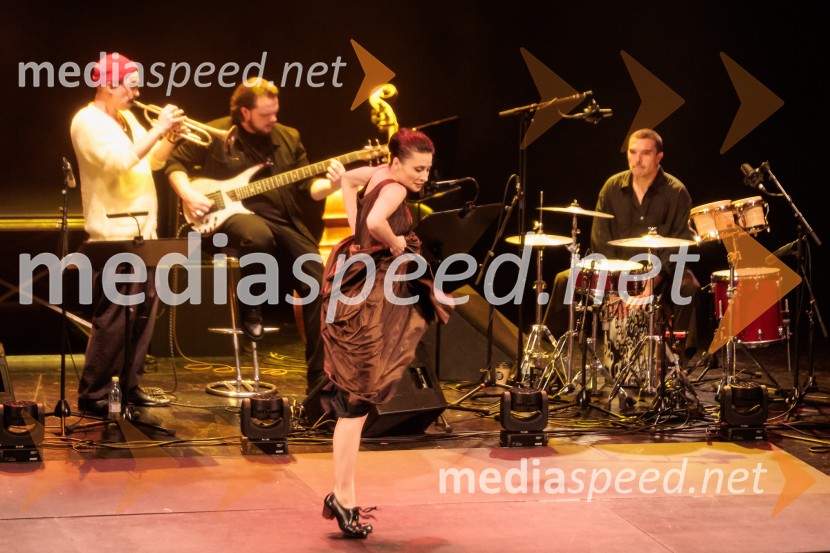 Raynald Colom: Constellation, koncert v Cankarjevem domu