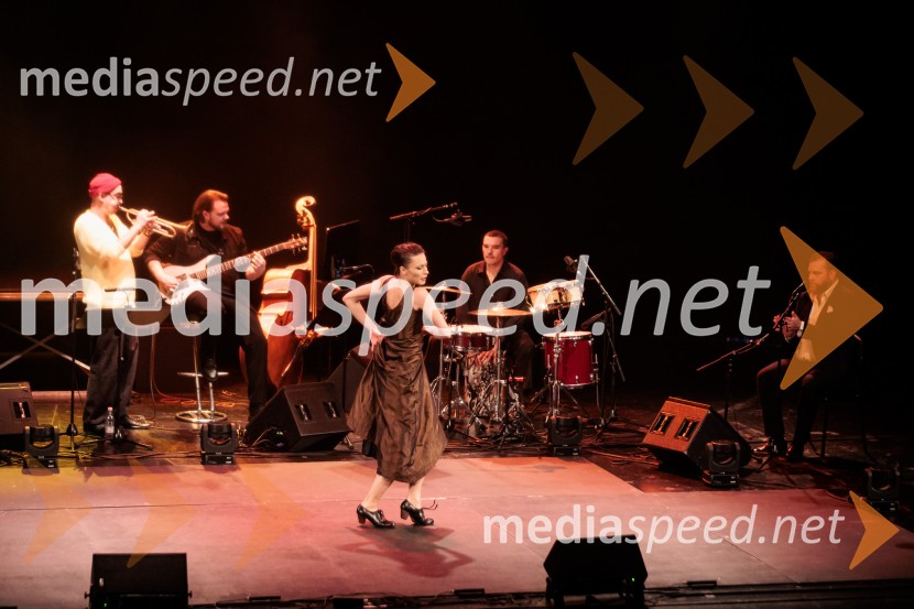 Raynald Colom: Constellation, koncert v Cankarjevem domu