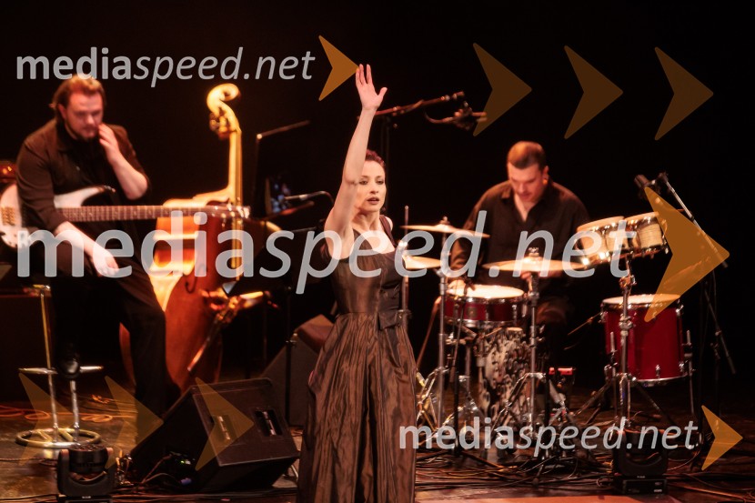 Raynald Colom: Constellation, koncert v Cankarjevem domu