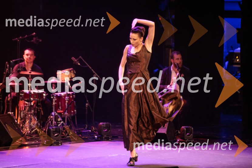 Raynald Colom: Constellation, koncert v Cankarjevem domu