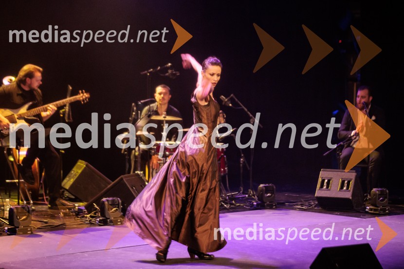 Raynald Colom: Constellation, koncert v Cankarjevem domu