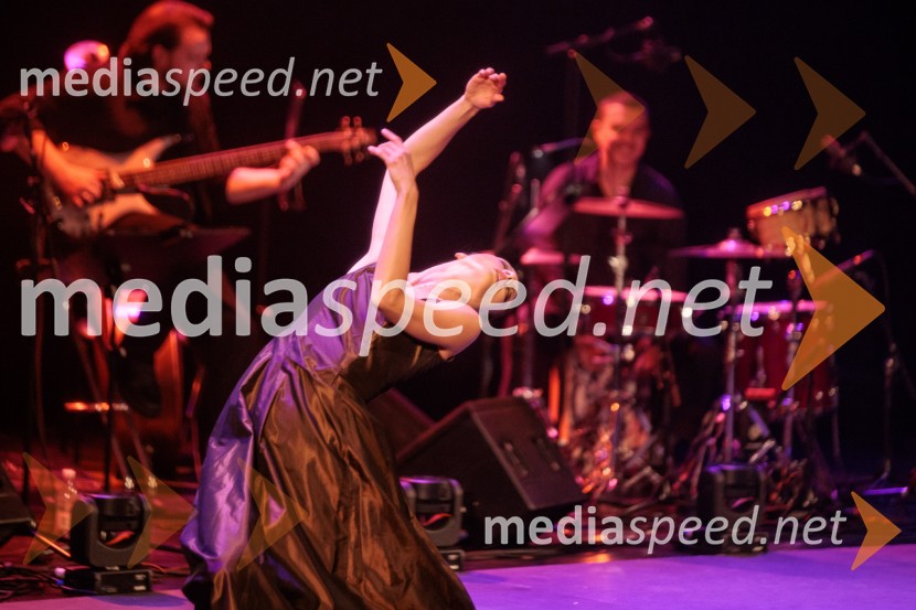 Raynald Colom: Constellation, koncert v Cankarjevem domu