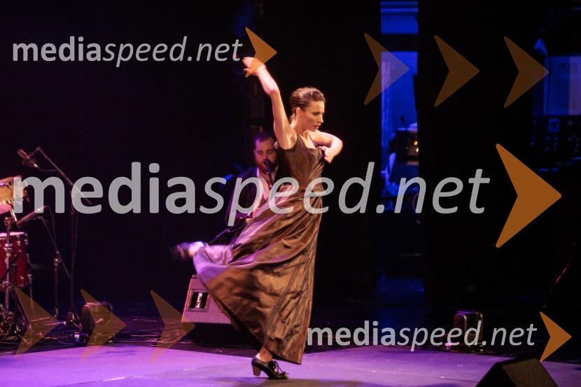 Raynald Colom: Constellation, koncert v Cankarjevem domu