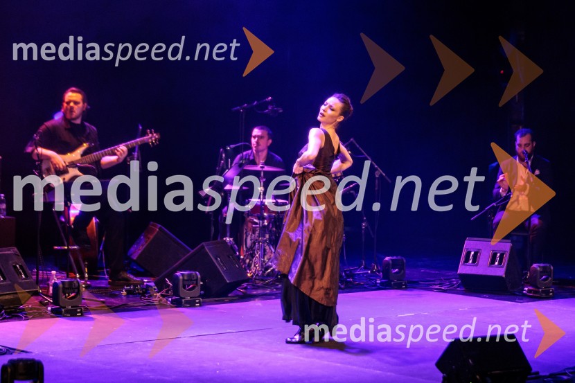 Raynald Colom: Constellation, koncert v Cankarjevem domu