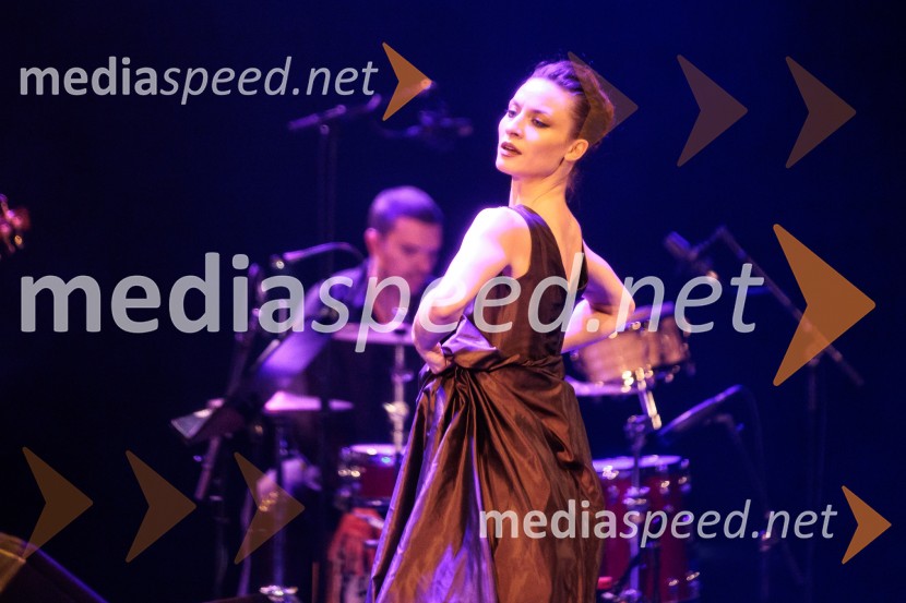 Raynald Colom: Constellation, koncert v Cankarjevem domu