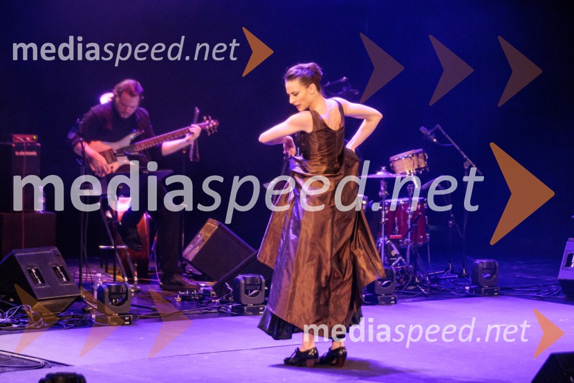 Raynald Colom: Constellation, koncert v Cankarjevem domu