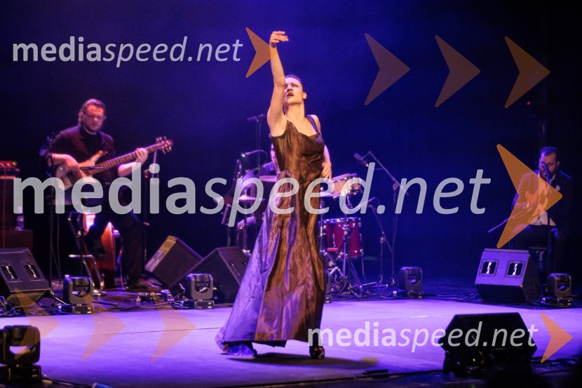 Raynald Colom: Constellation, koncert v Cankarjevem domu