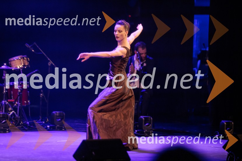 Raynald Colom: Constellation, koncert v Cankarjevem domu