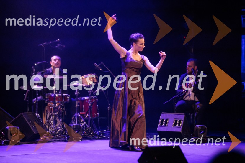 Raynald Colom: Constellation, koncert v Cankarjevem domu