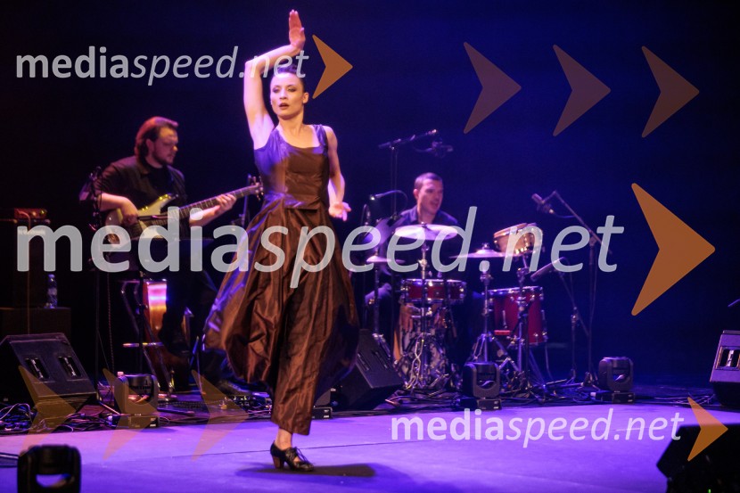 Raynald Colom: Constellation, koncert v Cankarjevem domu