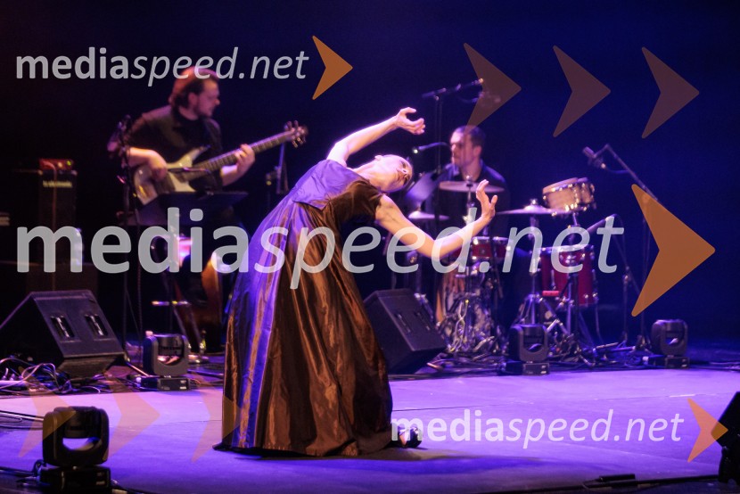 Raynald Colom: Constellation, koncert v Cankarjevem domu