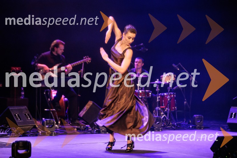 Raynald Colom: Constellation, koncert v Cankarjevem domu