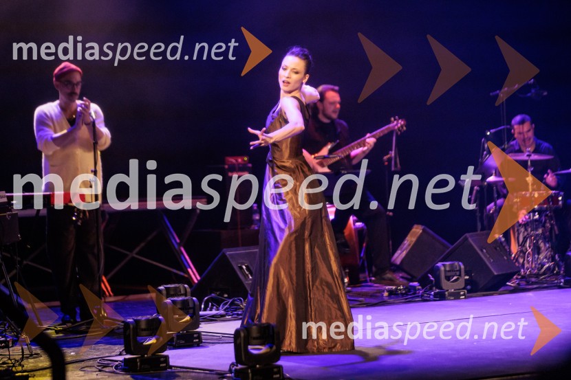 Raynald Colom: Constellation, koncert v Cankarjevem domu