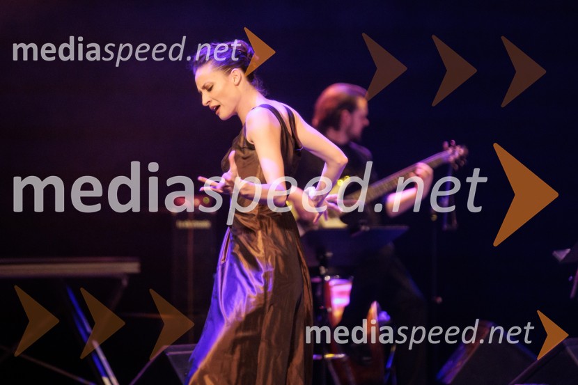 Raynald Colom: Constellation, koncert v Cankarjevem domu