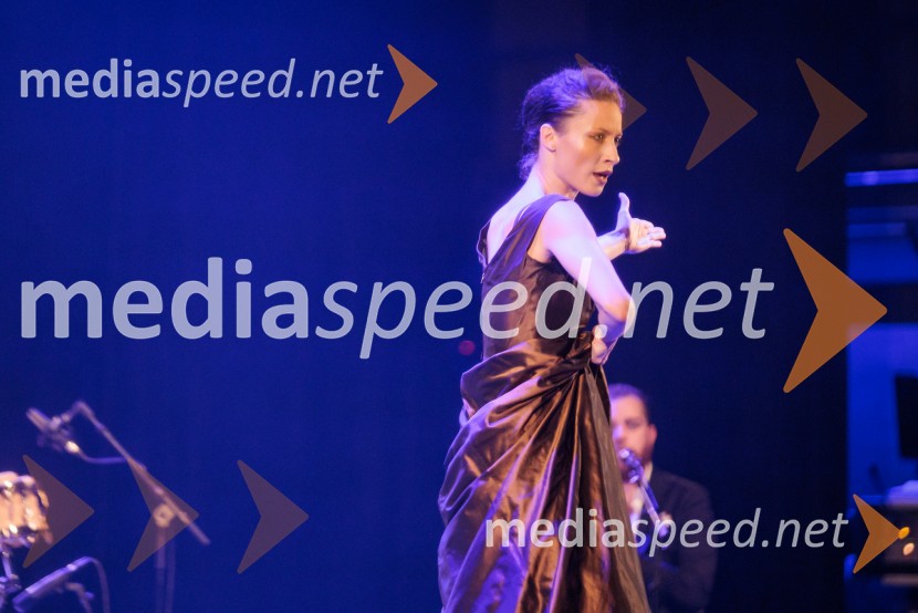 Raynald Colom: Constellation, koncert v Cankarjevem domu