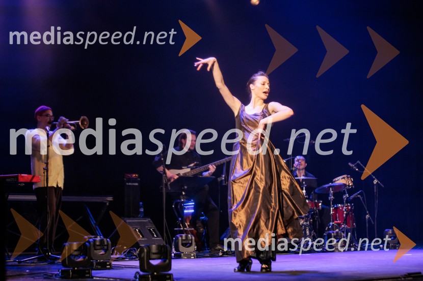 Raynald Colom: Constellation, koncert v Cankarjevem domu