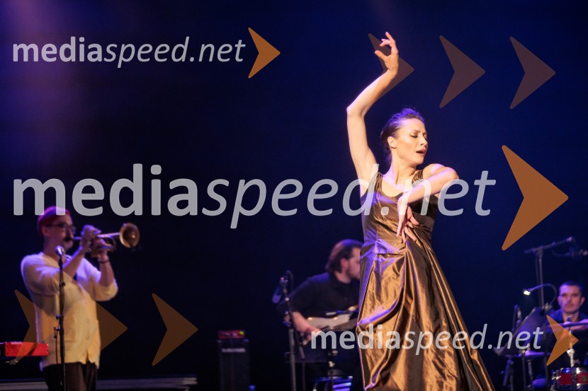 Raynald Colom: Constellation, koncert v Cankarjevem domu