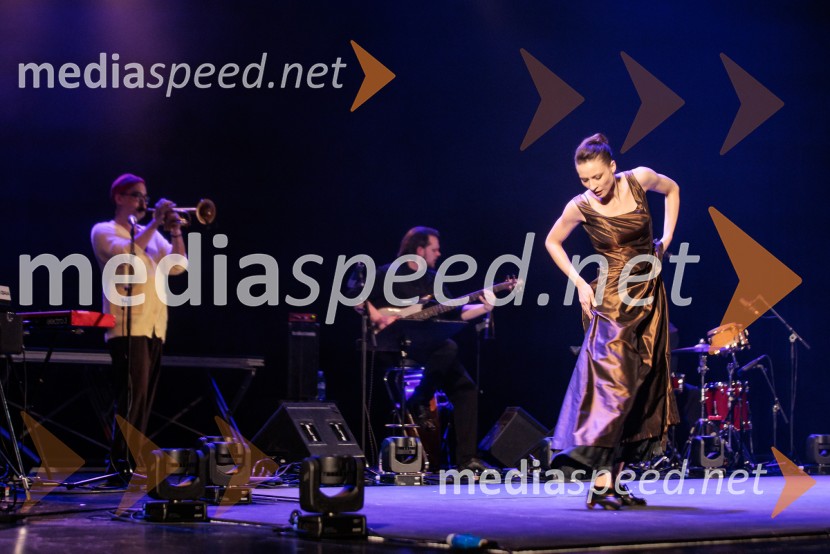 Raynald Colom: Constellation, koncert v Cankarjevem domu