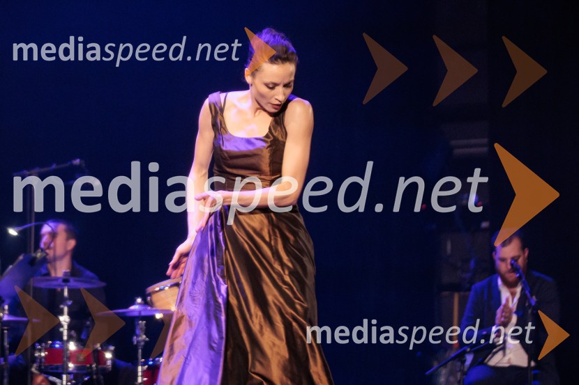 Raynald Colom: Constellation, koncert v Cankarjevem domu