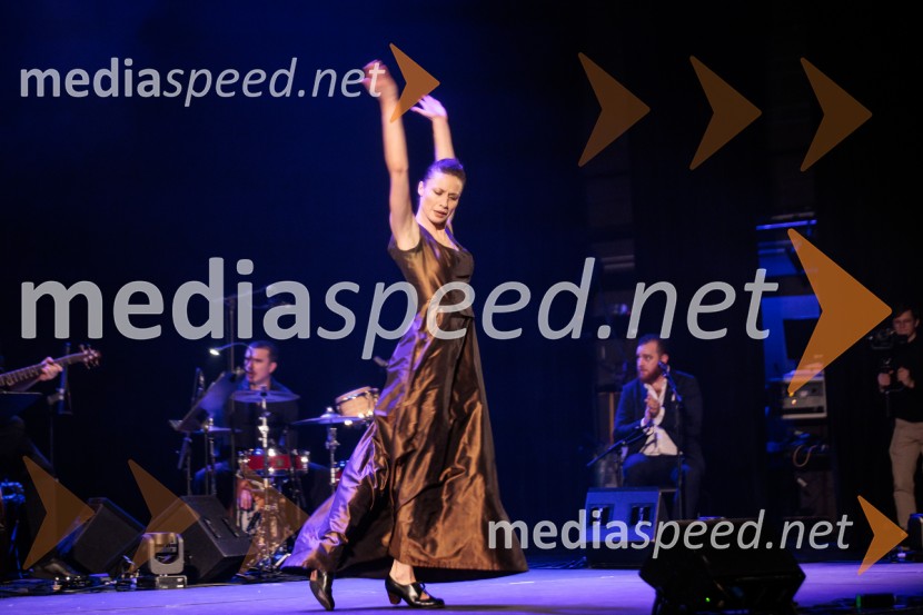 Raynald Colom: Constellation, koncert v Cankarjevem domu