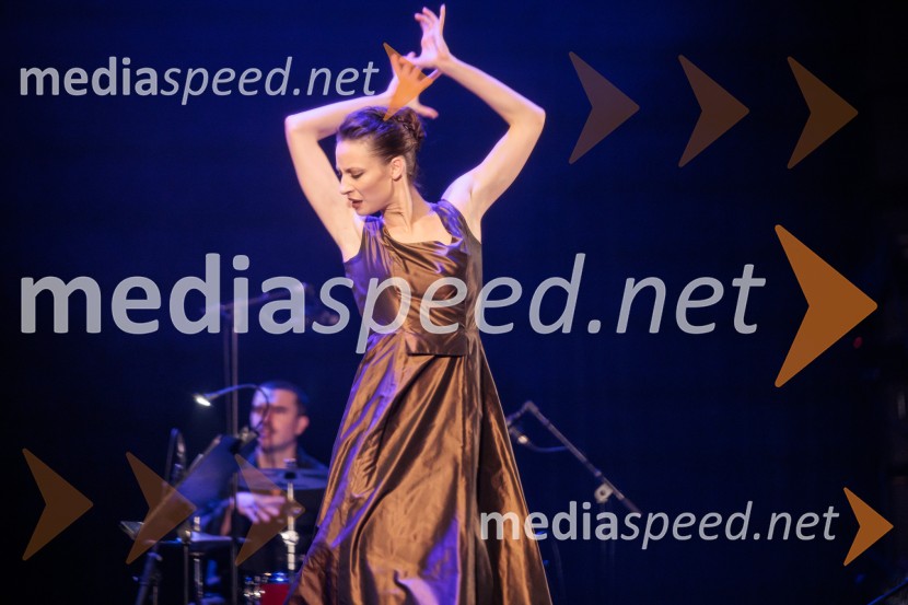 Raynald Colom: Constellation, koncert v Cankarjevem domu