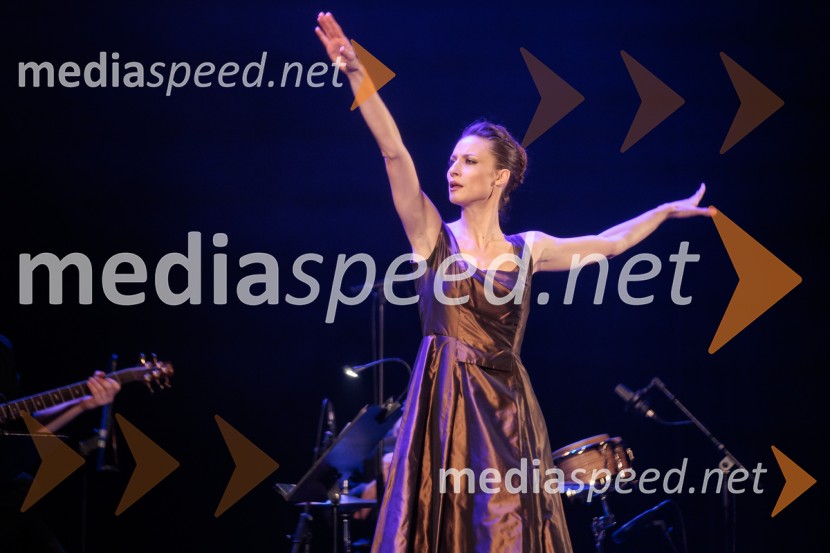 Raynald Colom: Constellation, koncert v Cankarjevem domu