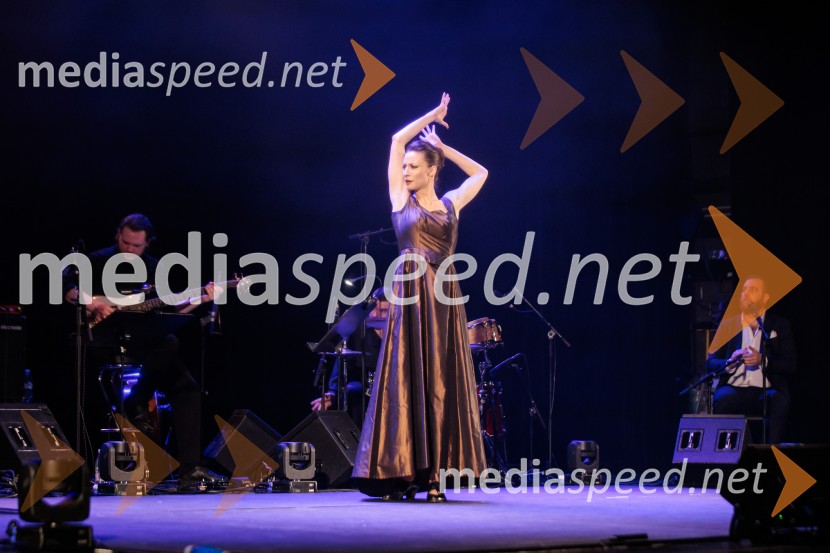 Raynald Colom: Constellation, koncert v Cankarjevem domu