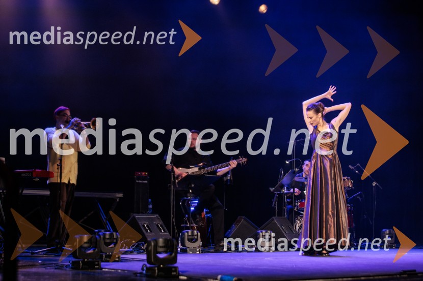 Raynald Colom: Constellation, koncert v Cankarjevem domu