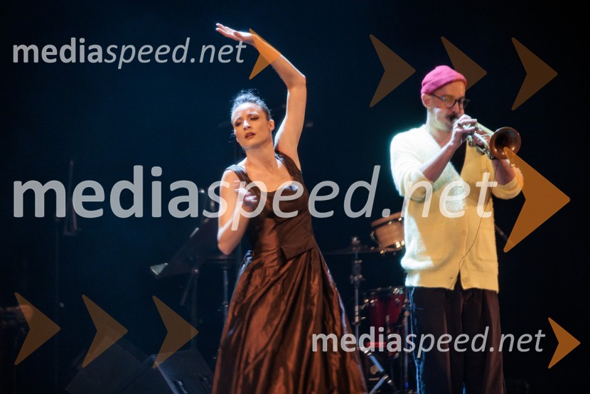 Raynald Colom: Constellation, koncert v Cankarjevem domu