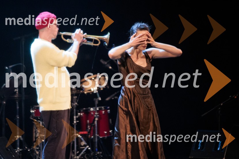 Raynald Colom: Constellation, koncert v Cankarjevem domu