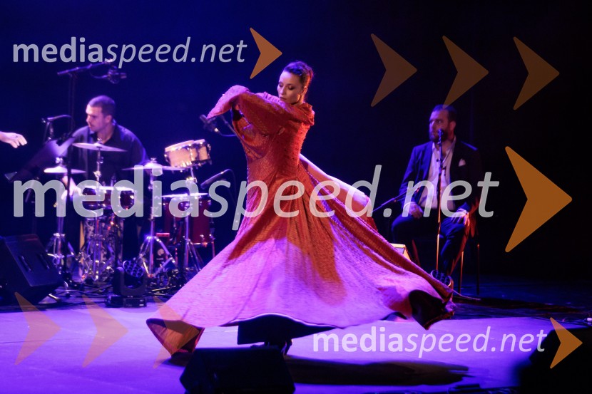 Raynald Colom: Constellation, koncert v Cankarjevem domu