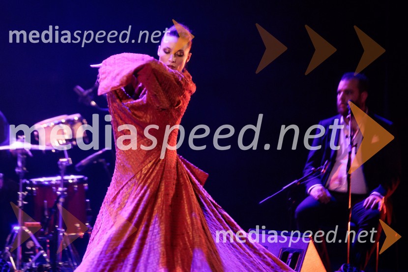 Raynald Colom: Constellation, koncert v Cankarjevem domu