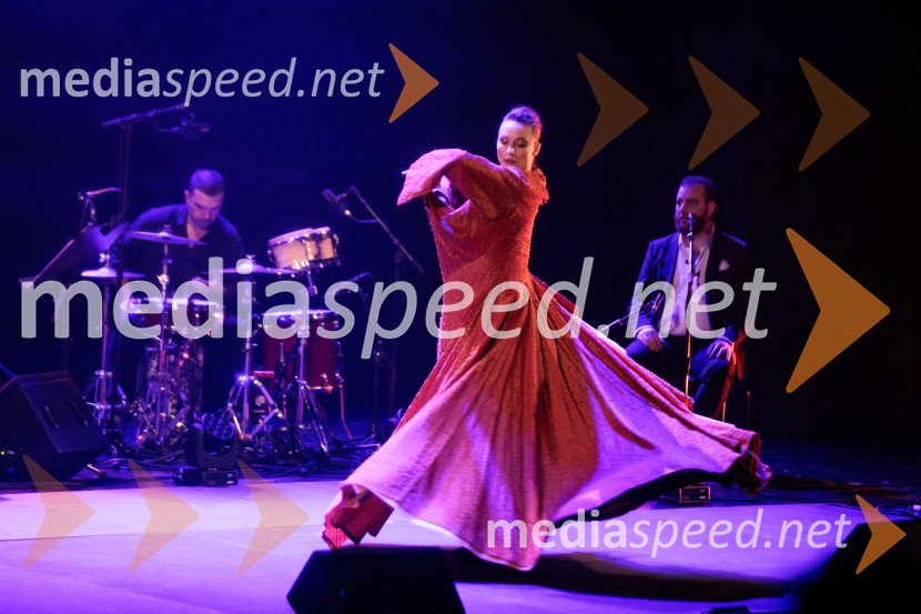 Raynald Colom: Constellation, koncert v Cankarjevem domu