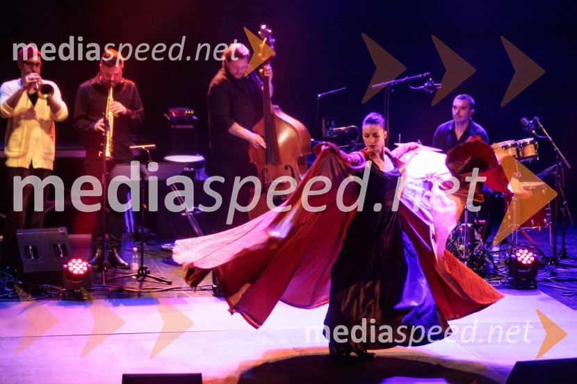 Raynald Colom: Constellation, koncert v Cankarjevem domu