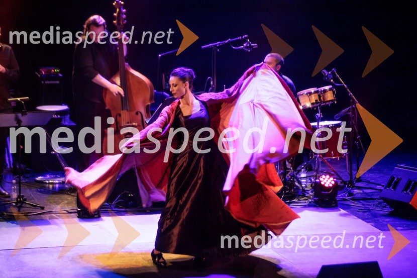 Raynald Colom: Constellation, koncert v Cankarjevem domu