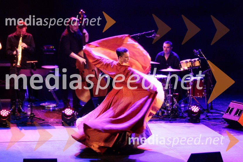 Raynald Colom: Constellation, koncert v Cankarjevem domu