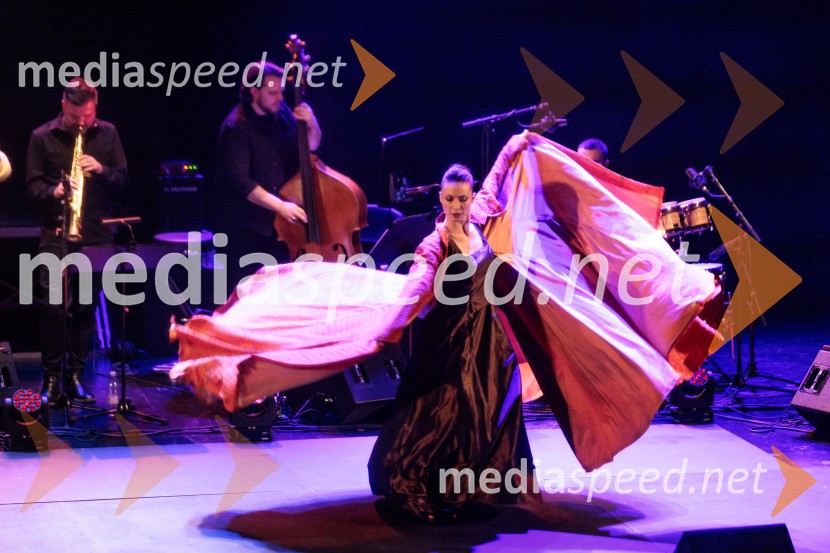 Raynald Colom: Constellation, koncert v Cankarjevem domu