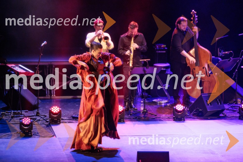 Raynald Colom: Constellation, koncert v Cankarjevem domu